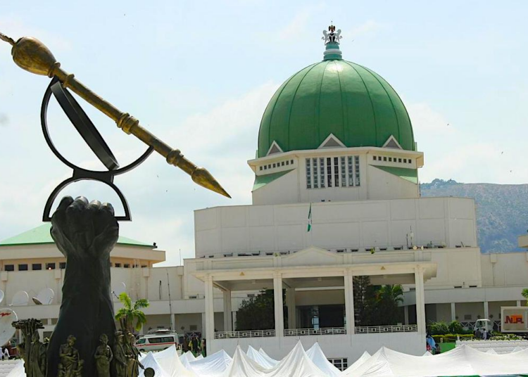 Experts Divided As NASS Extends 2025 Capital Budget To December 2026