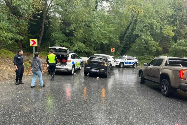 Osimhen’s Eight-Month Pregnant Girlfriend Escapes Injury In Istanbul Car Crash