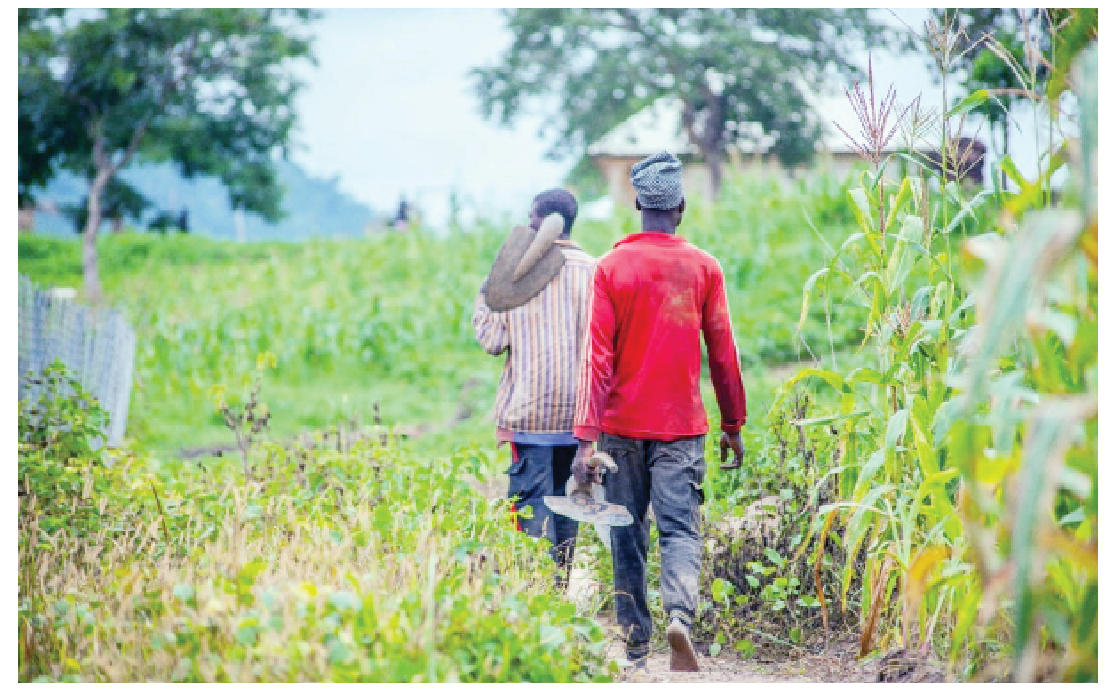 Three Years After Tinubu’s Food Emergency Declaration, High Costs, Insecurity Deepen Food Crisis