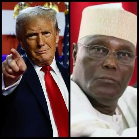 Timi Frank Appeals To Trump Over Alleged Threats To Atiku Ahead Of 2027 Elections