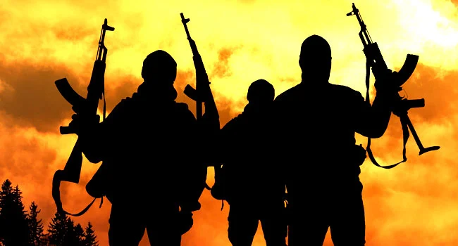 Parents Lament As 78 Children Remain Missing After Boko Haram Abductions