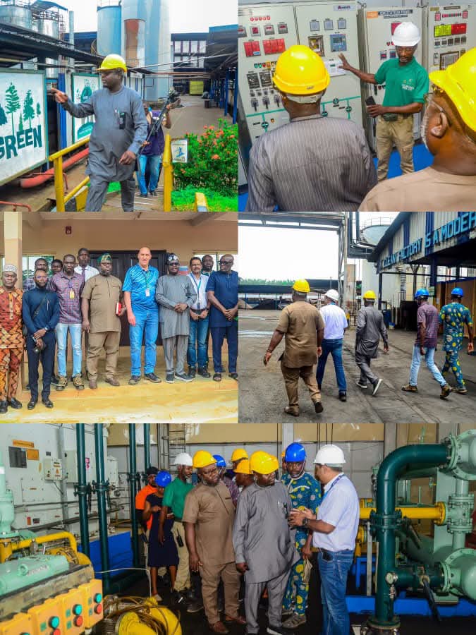 Ministry of Power Inspects Okomu Power Facilities, Proposses Electricity Access Expansion