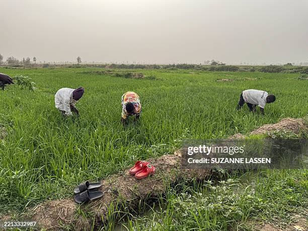 Akoko-Edo Chairman Warns Security Corps After Farmer's Killing