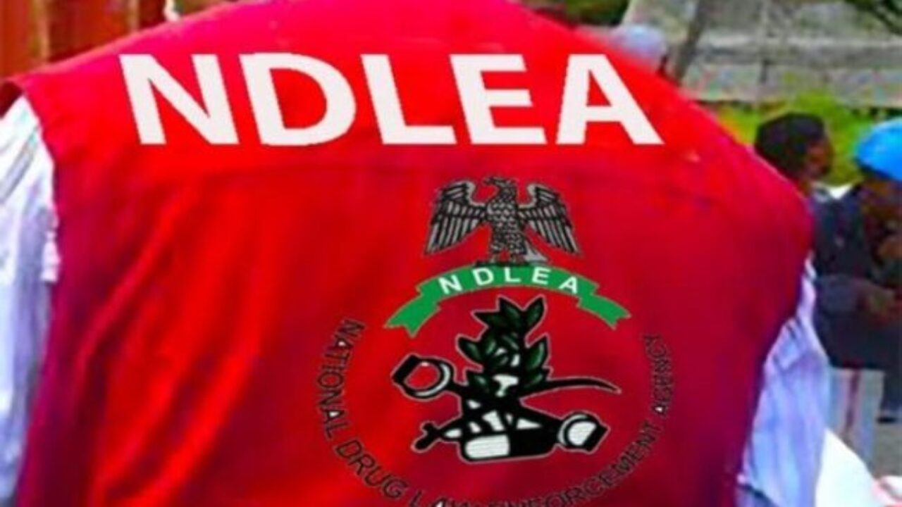 Why NDLEA Arrests 70-Year-Old, Others In Multi-State Operations