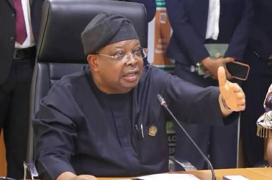 Electricity: ‘Nigerians tell me to slow down, freezers are freezing’ — Power minister